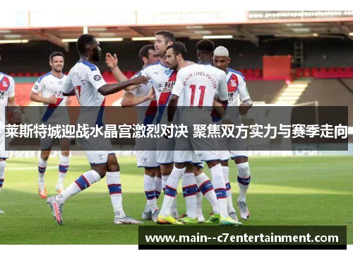 莱斯特城迎战水晶宫激烈对决 聚焦双方实力与赛季走向 莱斯特城迎战水晶宫激烈对决 聚焦双方实力与赛季走向