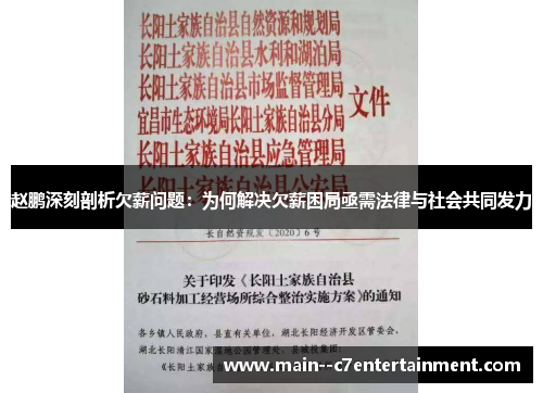 赵鹏深刻剖析欠薪问题：为何解决欠薪困局亟需法律与社会共同发力