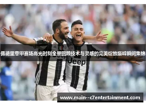 佩德里意甲赛场高光时刻全景回顾技术与灵感的完美绽放巅峰瞬间集锦