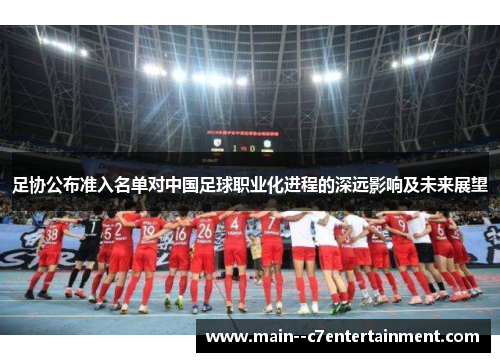 足协公布准入名单对中国足球职业化进程的深远影响及未来展望